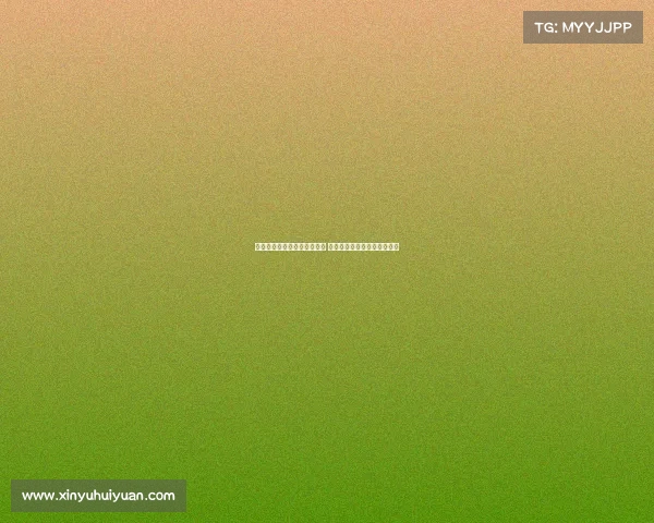 新援加盟引爆球队期待新篇章 助力团队迎接挑战开启新征程