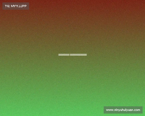 教练发布会正式召开 新赛季目标与球队规划首次亮相